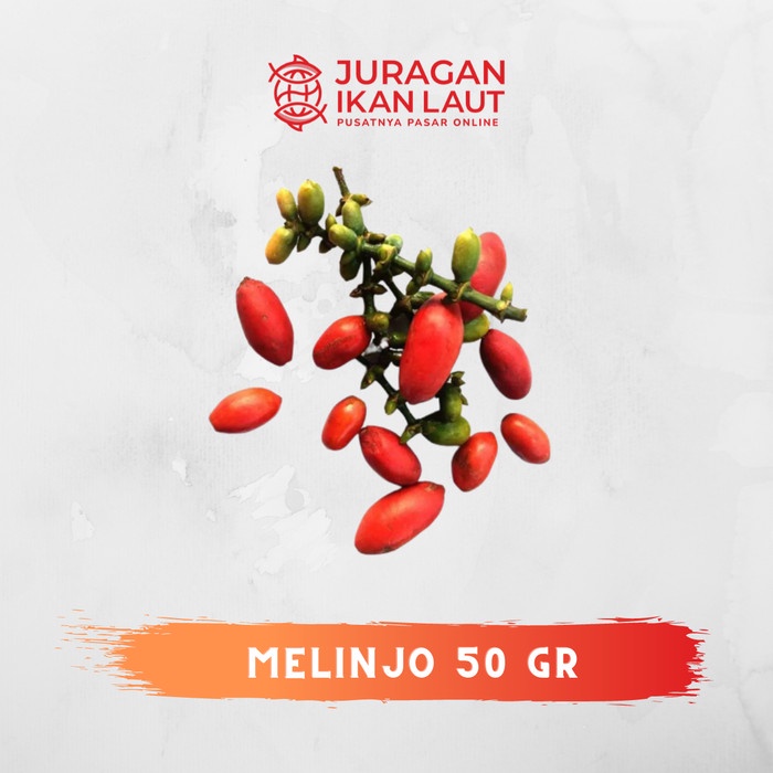 

Melinjo Segar Bekualitas - 50 Gram