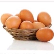 

Telur Ayam