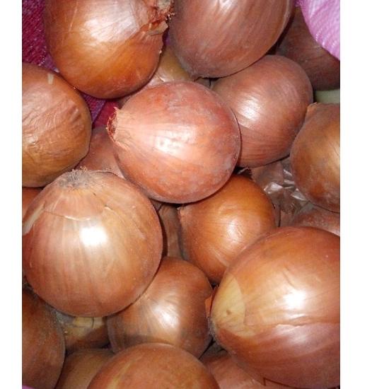 

✨11.11✨ BAWANG BOMBAY SEGAR 1KG