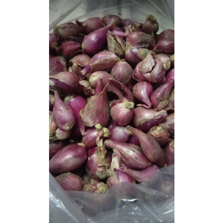 

bawang merah