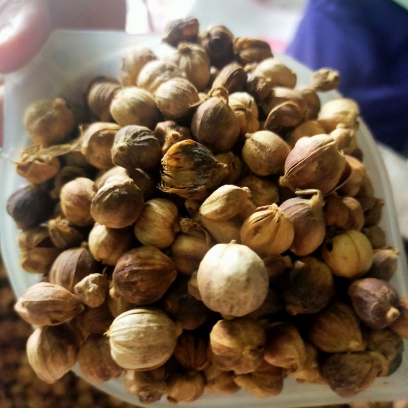 

Kapol Kapulaga Kering 1kg