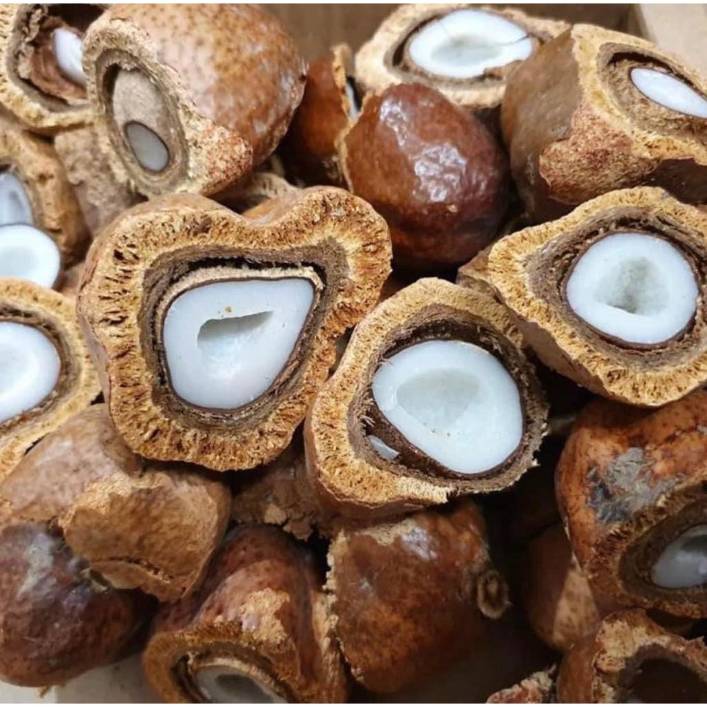 

Buah Zuriat - Untuk Promil dan kesuburan hormon