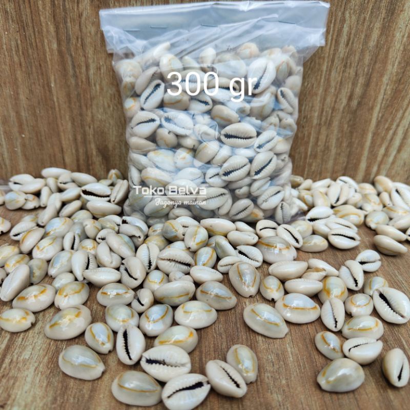 Biji Kerang ORIGINAL 105 pcs / Biji Congklak / Biji Kerang / Dakon / Mainan Anak