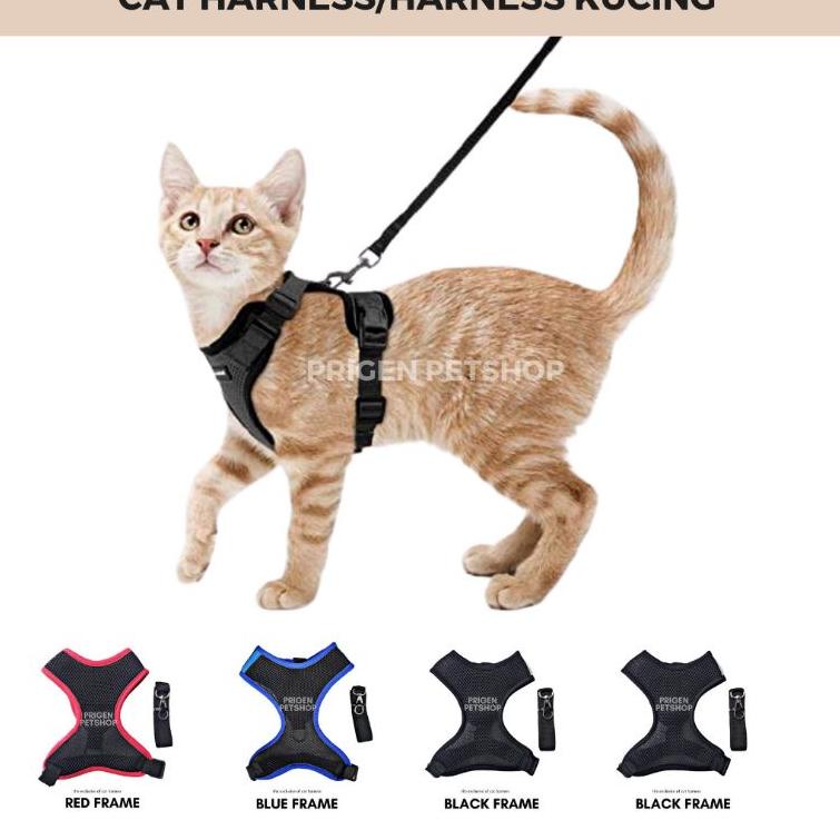 ➲ HARNESS KUCING / CAT HARNESS / TALI TUNTUN KUCING / BAJU KUCING JALAN-JALAN ▲