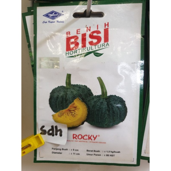 ROCKY Labu kuning kemasan Sp