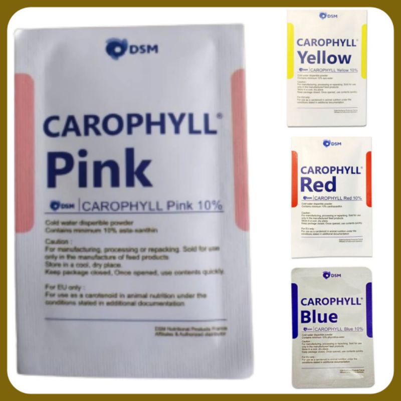 Pewarna Ikan Chana Carophyll pink yellow blue red pencerah aman