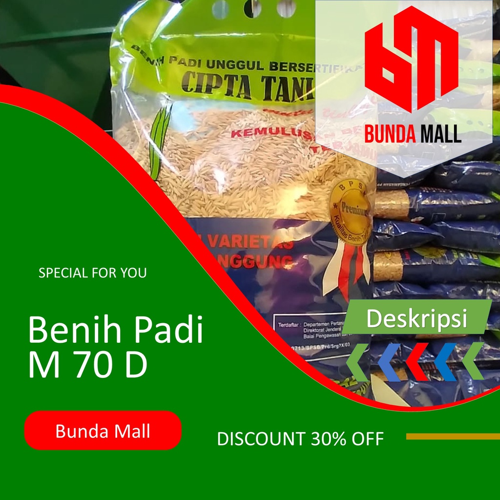 BENIH PADI M70 D BENIH PADI GENJAH