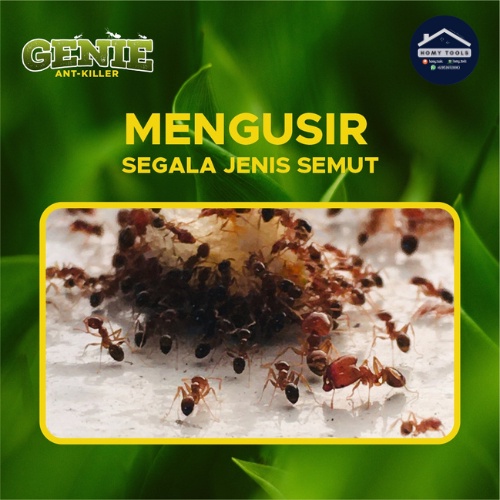 Pengusir Dan Pembasmi Semut Ampuh, Obat Pembasmi Semut, Semprot Semut