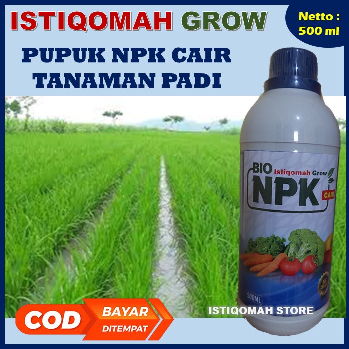 COD AMAN MURAH Pupuk Cair Obat Pelebat Anakan Padi ISTIQOMAH GROW 500ML Pupuk Cair Perbanyak Anakan Padi - Pupuk Pelebat Anakan Padi - Obat Anak dan Akar Padi yang Ampuh Padi Subur Panen Melimpah MURAH TERLARIS