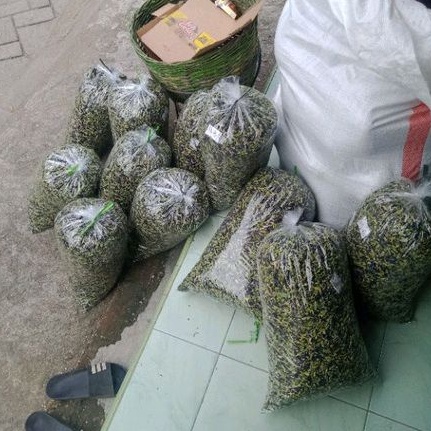 

Teh Bunga Telang Kering 1 Kg 1000 Gram Butterfly Pea Premium Quality