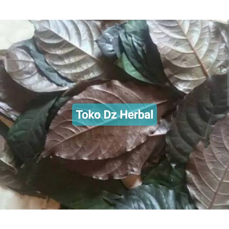 

Daun ungu segar daun handeuleum segar petik langsung-az