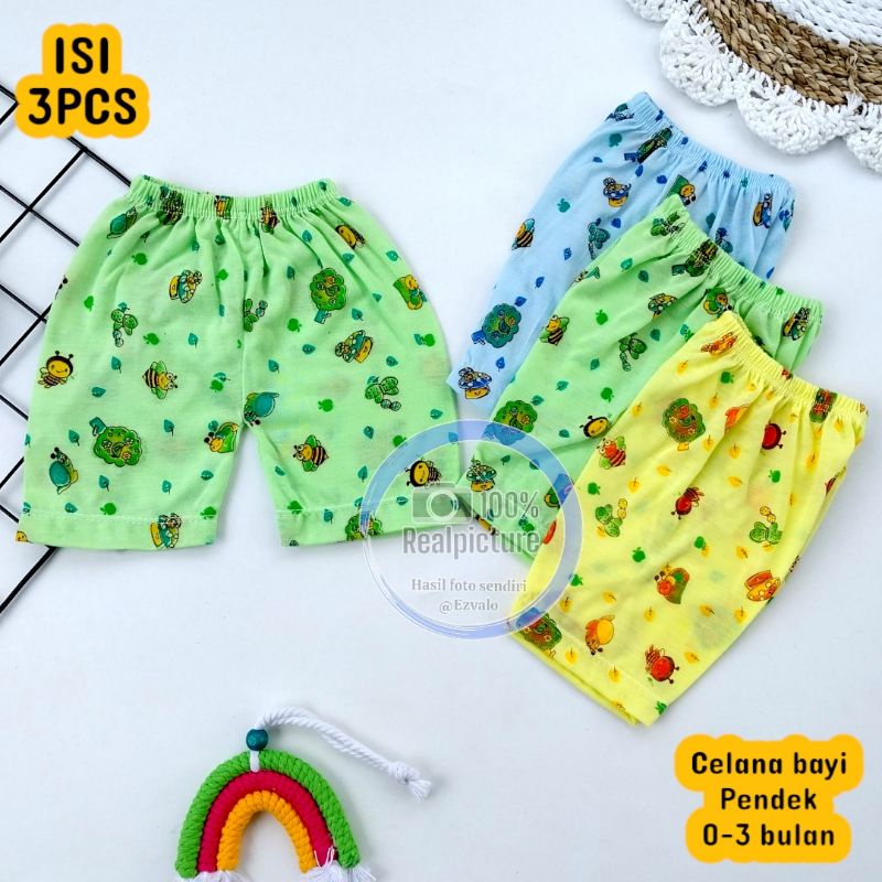 3PCS CELANA BAYI PENDEK WARNA UNISEX