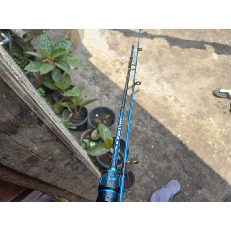 joran custom daiwa saltiga df sf