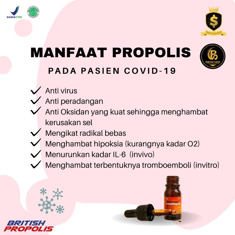 British Propolis (DEWASA) DIJAMIN ORIGINAL 100%