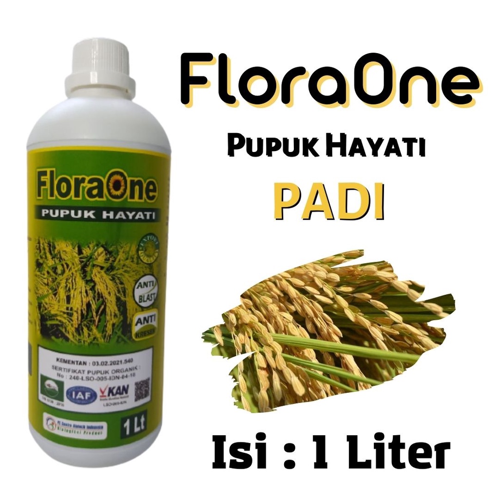 Pupuk Cair padi wangi FLORAONE anti Blas, Obat hayati 1 L untuk tanaman padi bunting