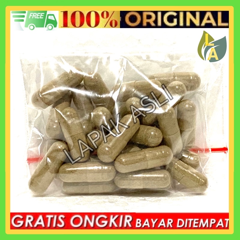 Kapsul Cacing Tanah ( ASLI / MURNI ) - Obat Tipes Dan Demam