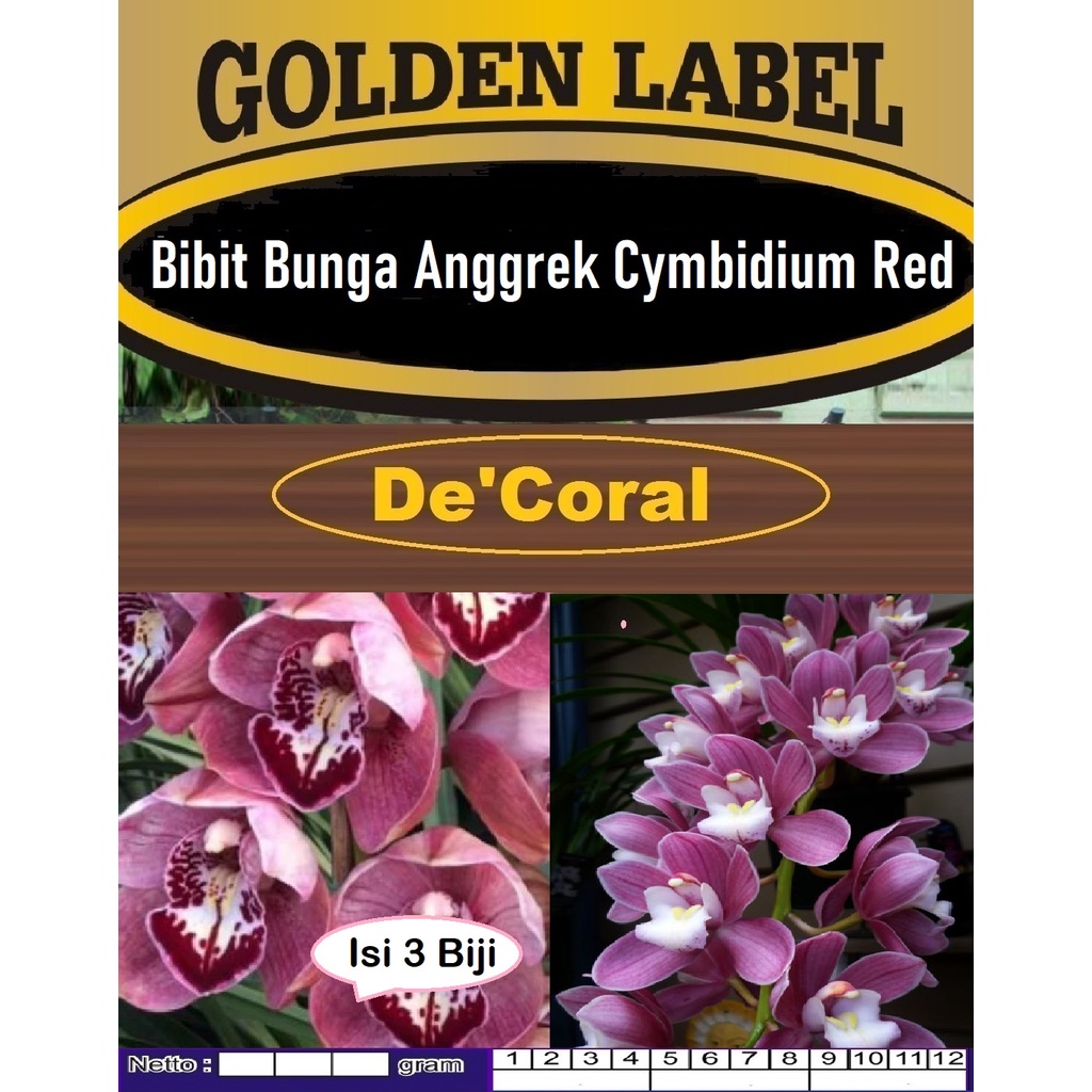 Bibit Bunga Anggrek Cymbidium Red | Biji Benih Anggrek Cymbidium Merah