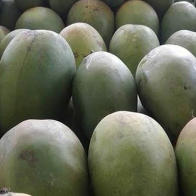 

Mangga harumanis +-1 kg (2-3 buah)