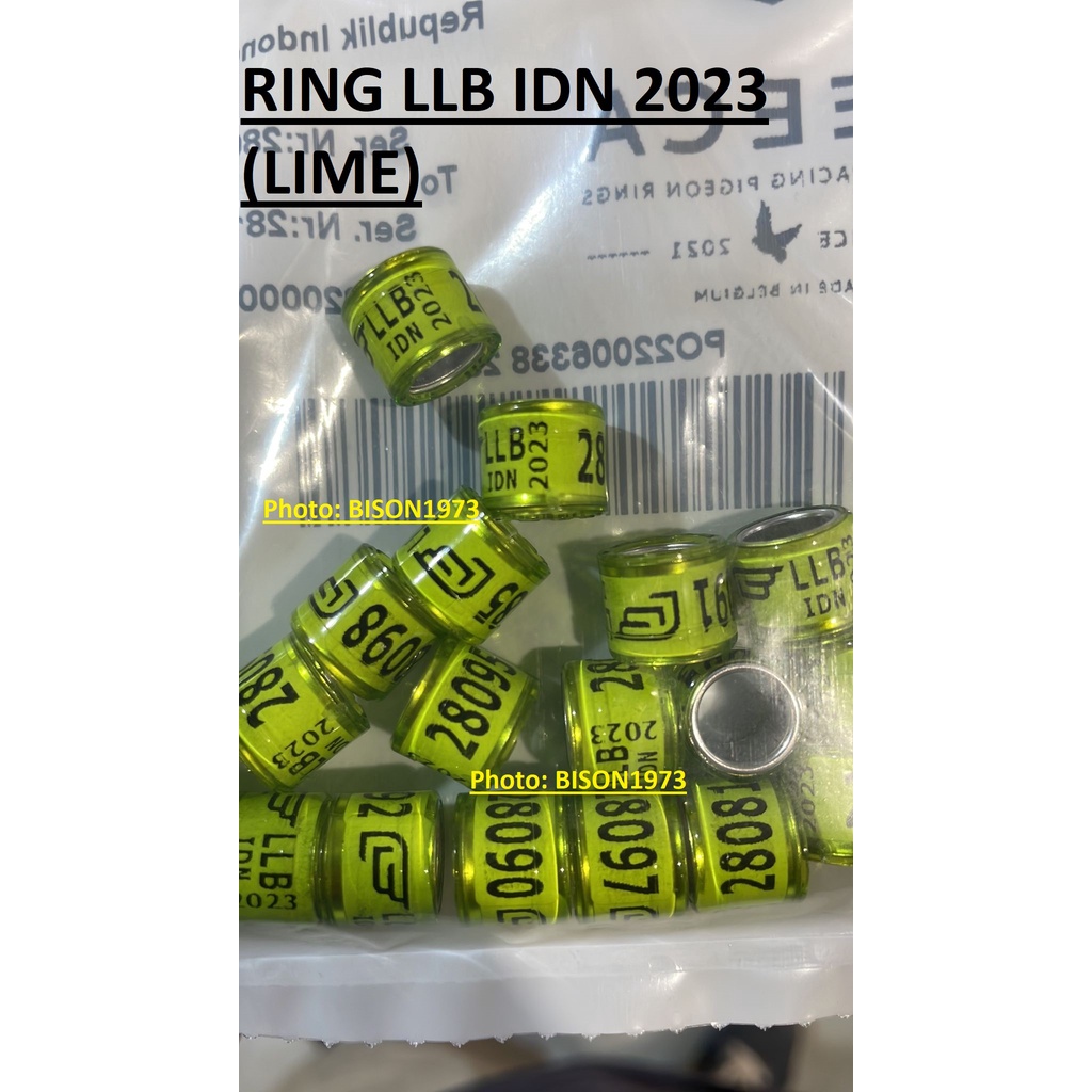 RING LLB 2023 MERPATI POS/RACING PIGEON