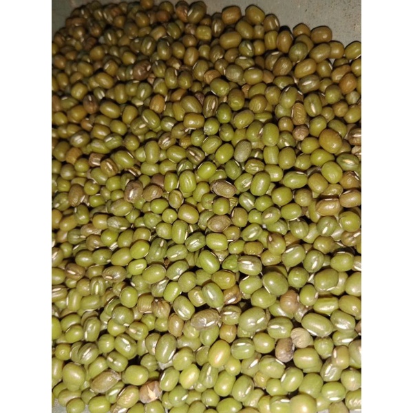 KACANG HIJAU KERING 1 KG