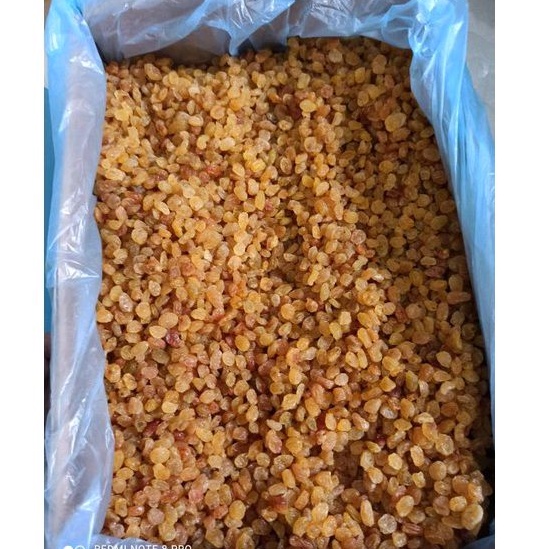KISMIS MUTIARA MANIS JUMBO ASAM MANIS MEDAN