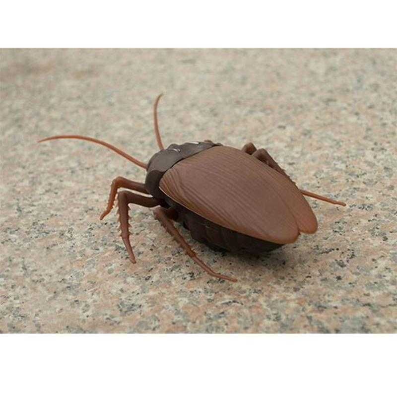 Giant Roach Mainan Prank Kecoa Dengan Remot Kontrol - H1 Kado Hadiah Isengin Temen Sahabat Kerabat bikin merinding Looks Real Cockroach