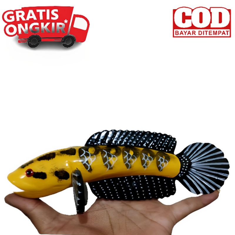 Channa replika wayang yellow sentarum 20 cm