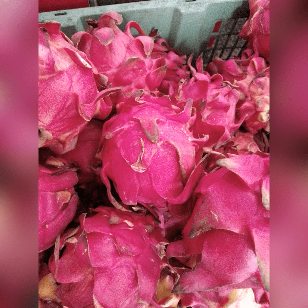 Buah Naga Merah 1kg Segar / Mangga / Alpukat / Pepaya Kota Bandung | Asih Sadulur Mart