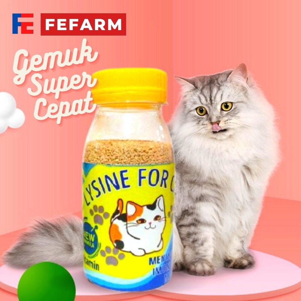 PENGGEMUK KUCING LYSINE PLUS VITAMIN LENGKAP FEFARM