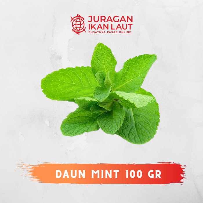 

Daun Mint Segar Berkualitas - 100 Gram