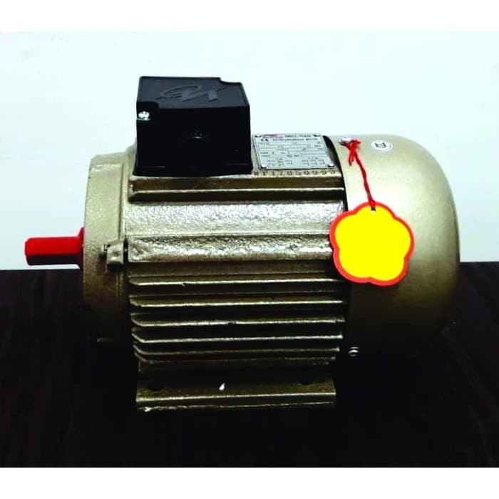 ELEKTROMOTOR WIPRO 1 HP 1 PHASE 2P/4P