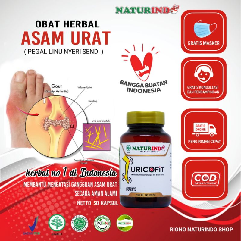 Obat Asam Urat Obat Asam Urat Dan Nyeri Sendi Obat Herbal Asam Urat Obat Asam Urat Ampuh Jamu Asam U
