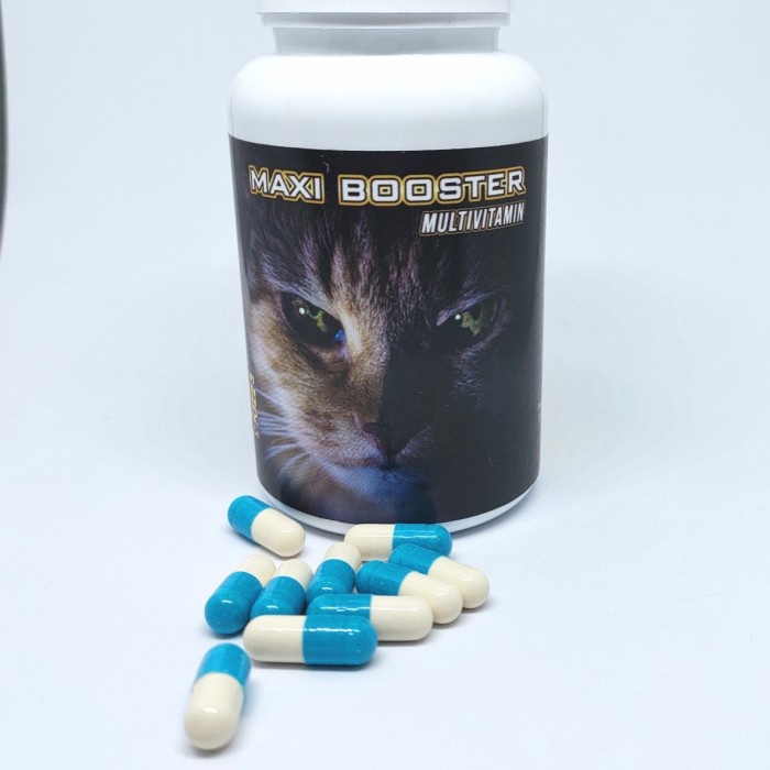 MAXI BOOSTER PER BOTOL 100 KAPSUL MULTIVITAMIN KUCING
