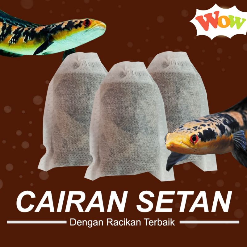 CAIRAN SETAN TREATMENT IKAN CHANNA YS MARU racikan cairan setan ikan channa ys maru