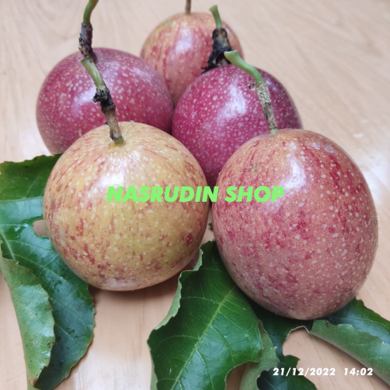 Jual Markisa Buah Markisa Matang Segar Warna Acak Shopee Indonesia