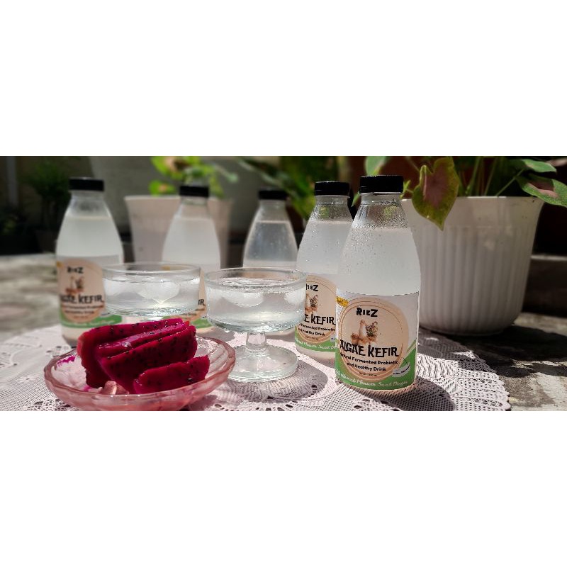 

Algae Water Kefir/ Algae Kristal Jepang Water/ Minuman Fermentasi/ Minuman Probiotic/ Minuman Herbal