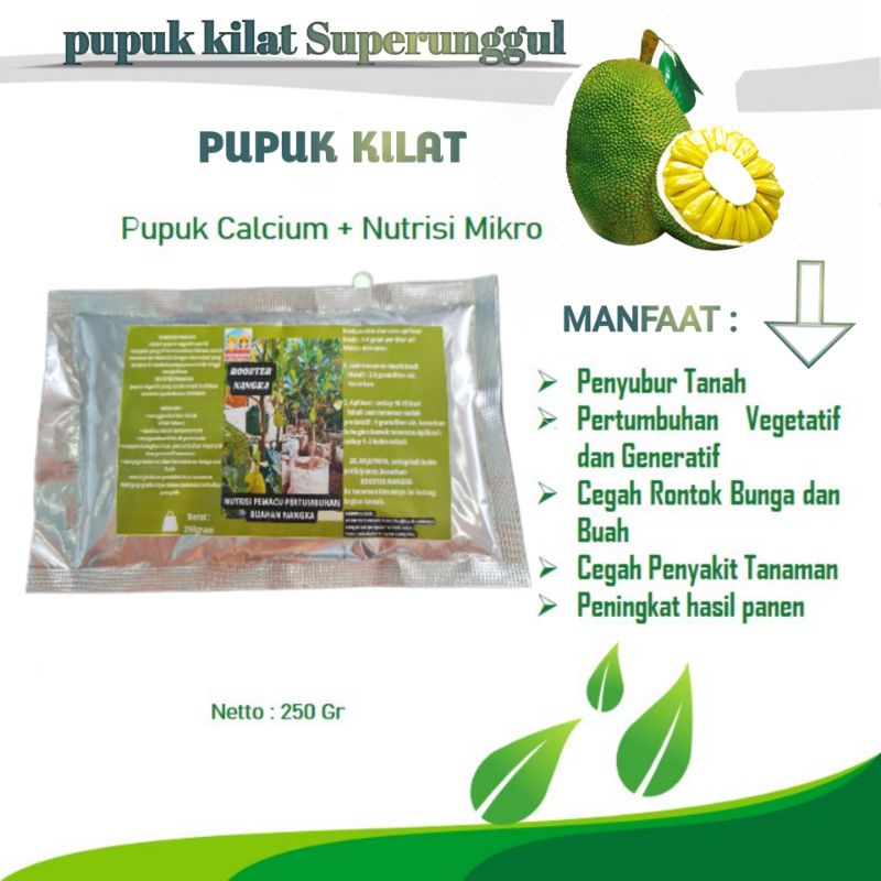 Pupuk Booster Organik Pelebat Buah Nangka Dan Perangsang Agar Cepat Berbuah