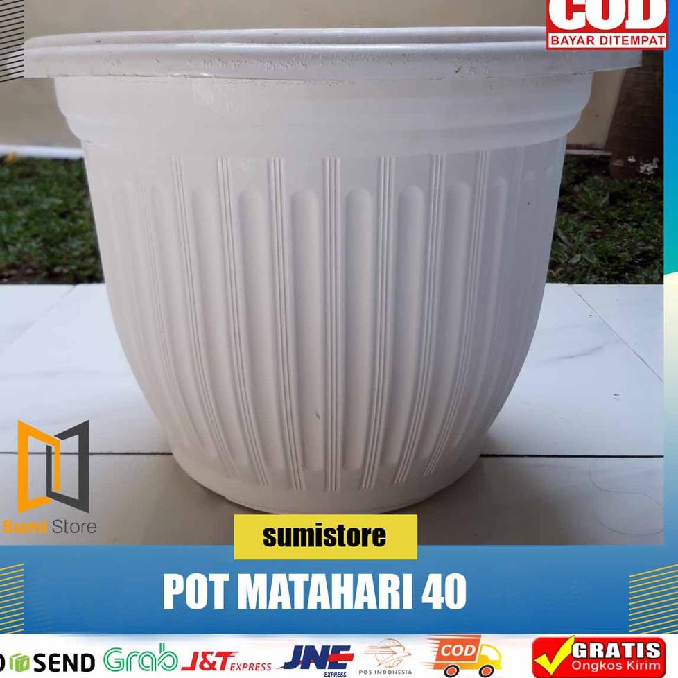 ⇯ Pot Matahari 40 Panda Star / Pot Bunga / Pot Tanaman / Pot Murah ✹