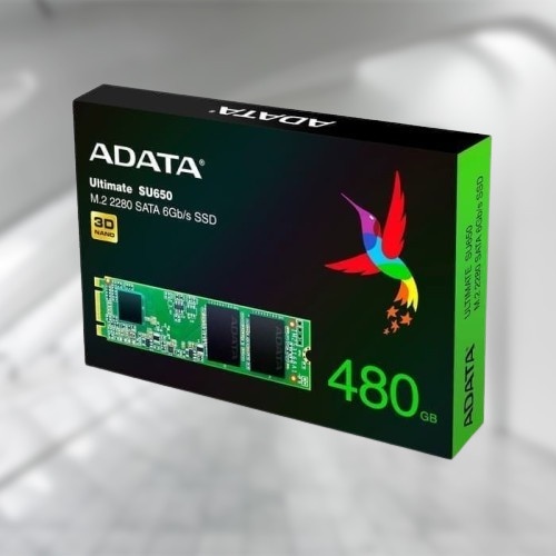 SSD ADATA M.2 SU650 480GB SATA auar1u590 Ayo Beli