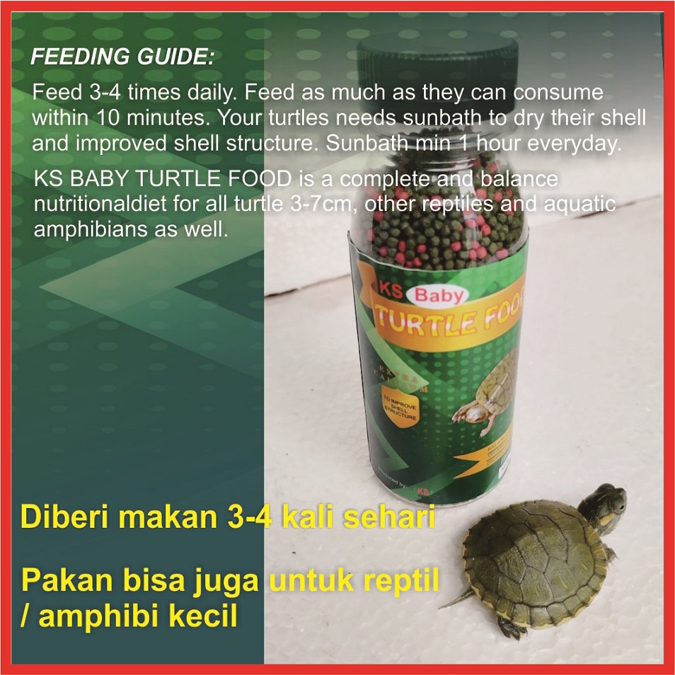 KS BabyTurtle Food Pakan Kura Kura Brazil Pelet Pellet Reptil Katak Kodok Kadal Mix / Grenn Turtle Vit 60gr 1mm 2mm 5mm