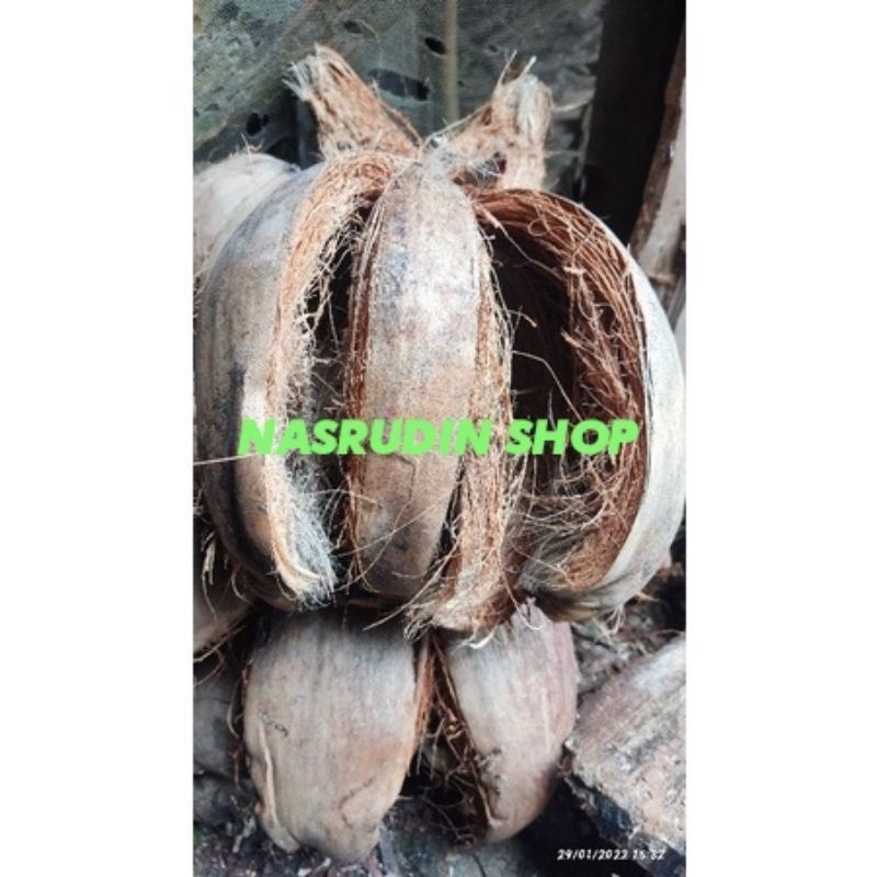 

[Fresh] SABUT KELAPA UTUH 1KG UNTUK MEDIA TANAM ANGGREK DAN LAIN LAIN