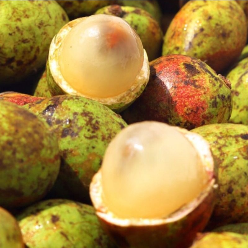 Buah Matoa 1kg