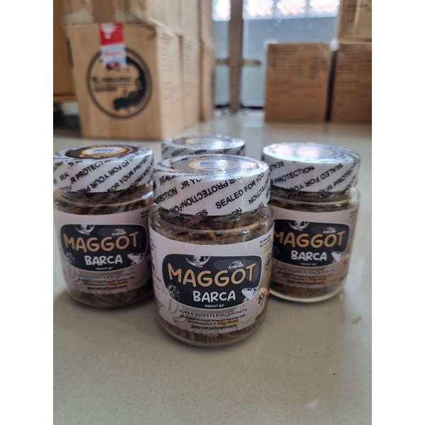 MAGGOT BARCA (SUPER GROWTH++) | BUNGA BOOSTER | MAGGOT BSF 30GR
