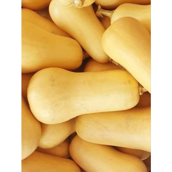 

buternut pumkin 500gr