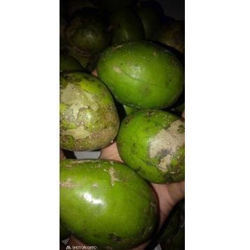 

PALING BAGUS buah kedondong Bangkok 1 kg ☄ 868