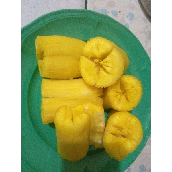 

singkong keju/ketela/singkong/singkong keju argotelo/ubi/ubi keju
