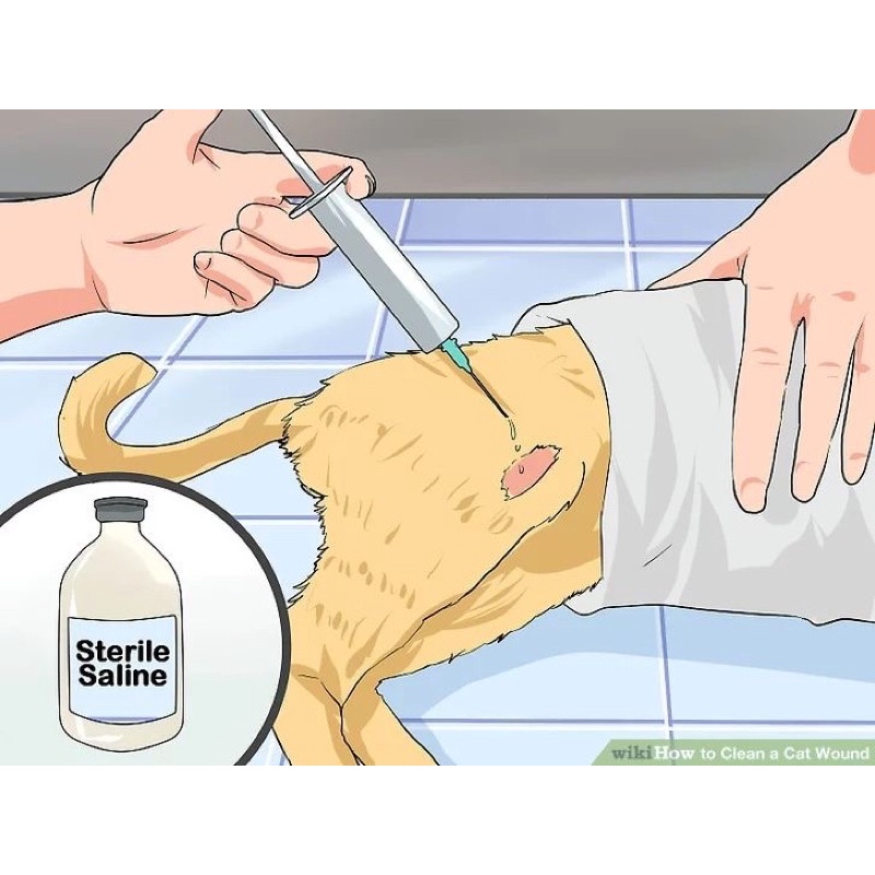 Salep Luka Kucing Genta