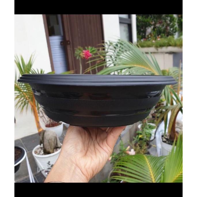 pot tanaman bonsai bunga plastik hitam super tawon azalea  25 cm