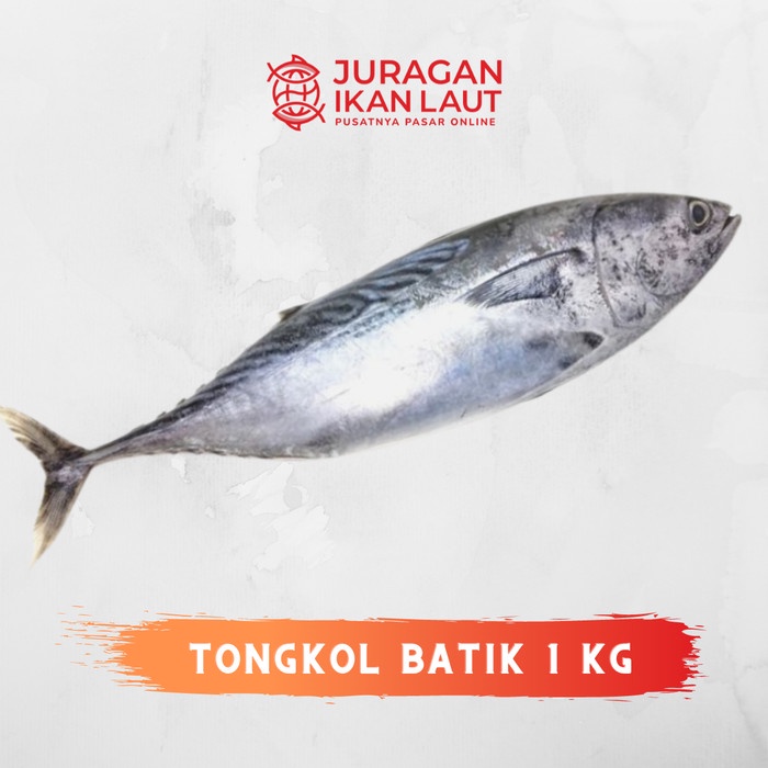 

Ikan Tongkol Batik Segar Berkualitas - 1 Kilogram