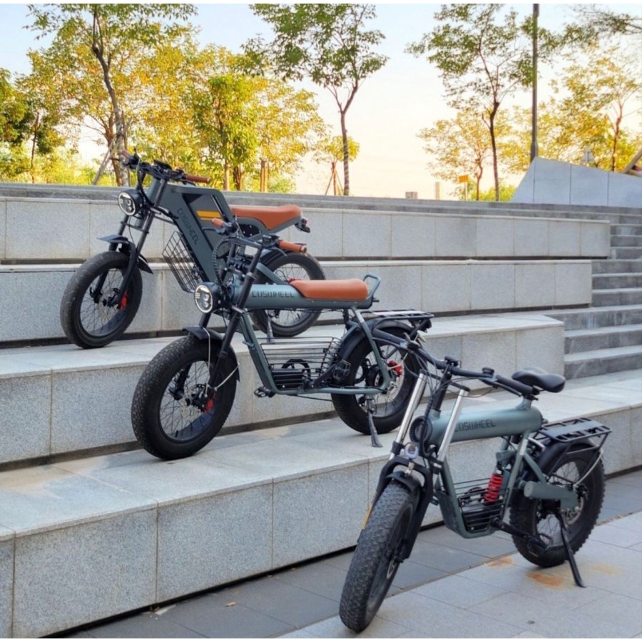 Coswheel FTN T20 Electric Bicycle / sepeda listrik